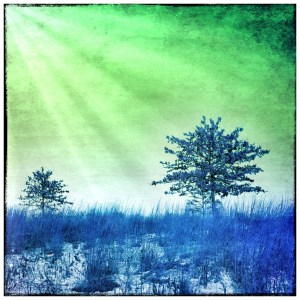 Photo by Kelly Bryant 