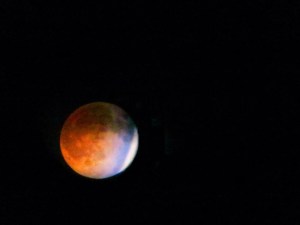 Blood Moon   Photo by Colleen Lienhard